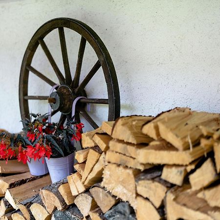 Ferienwohnungen Duffner Schonach im Schwarzwald Exterior foto