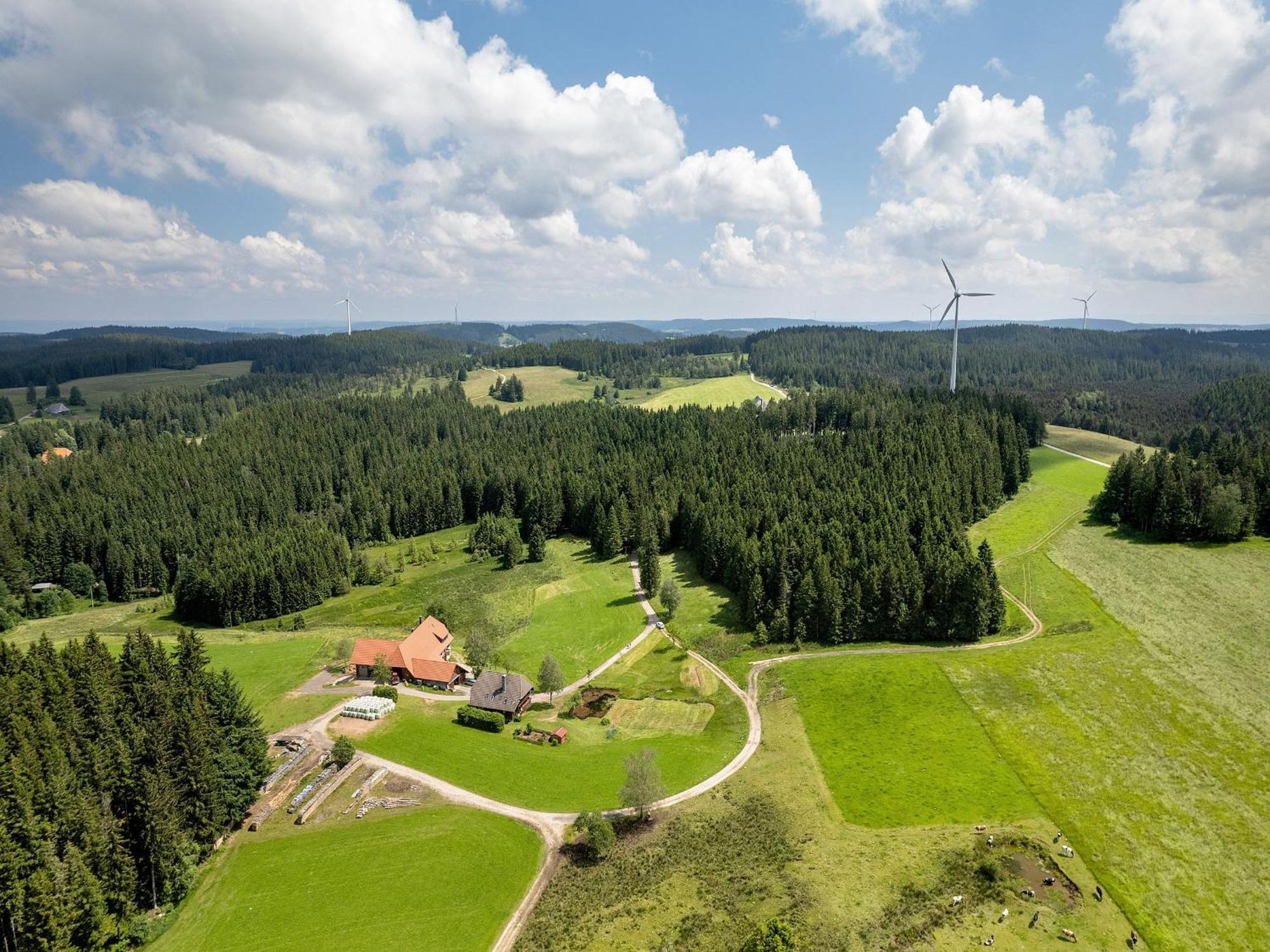 Ferienwohnungen Duffner Schonach im Schwarzwald Exterior foto